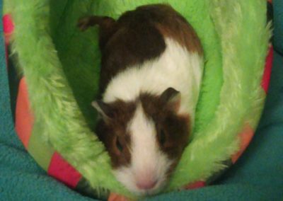 Bernadette