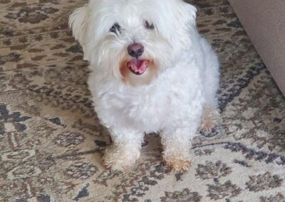 Benny