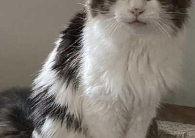 Bella
