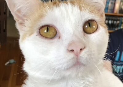 Benny