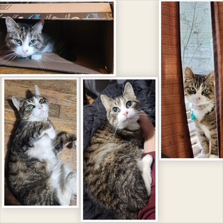 Tammy