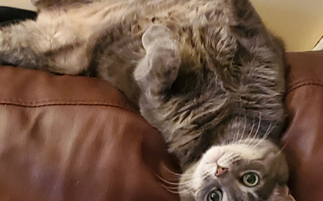 Jade