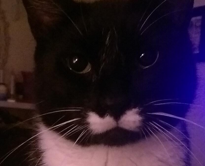 Clyde