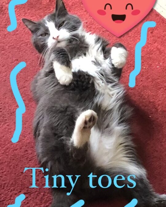Tiny