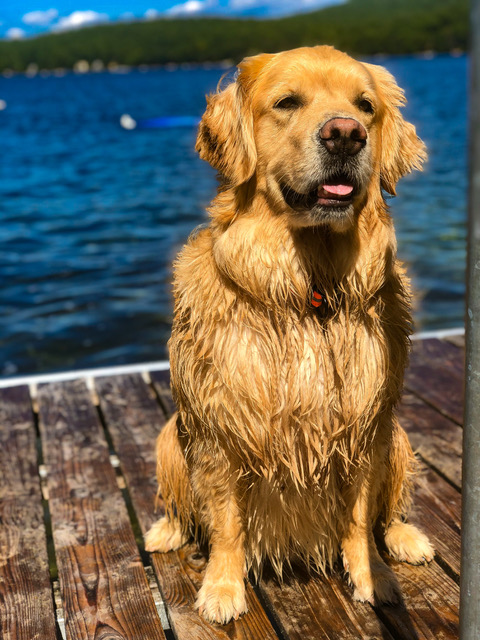 Gus