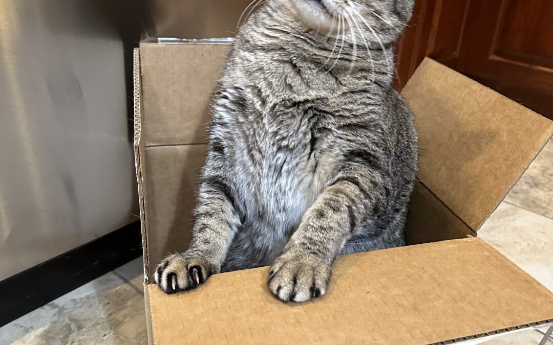 Oliver