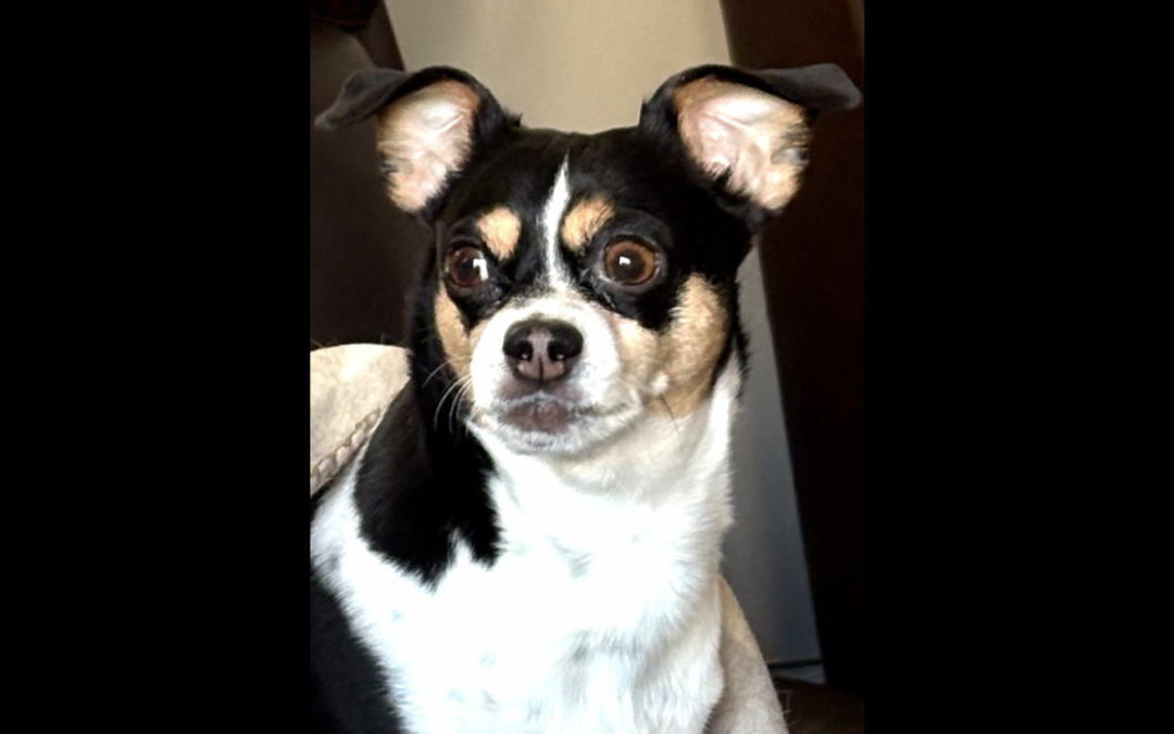 Jax